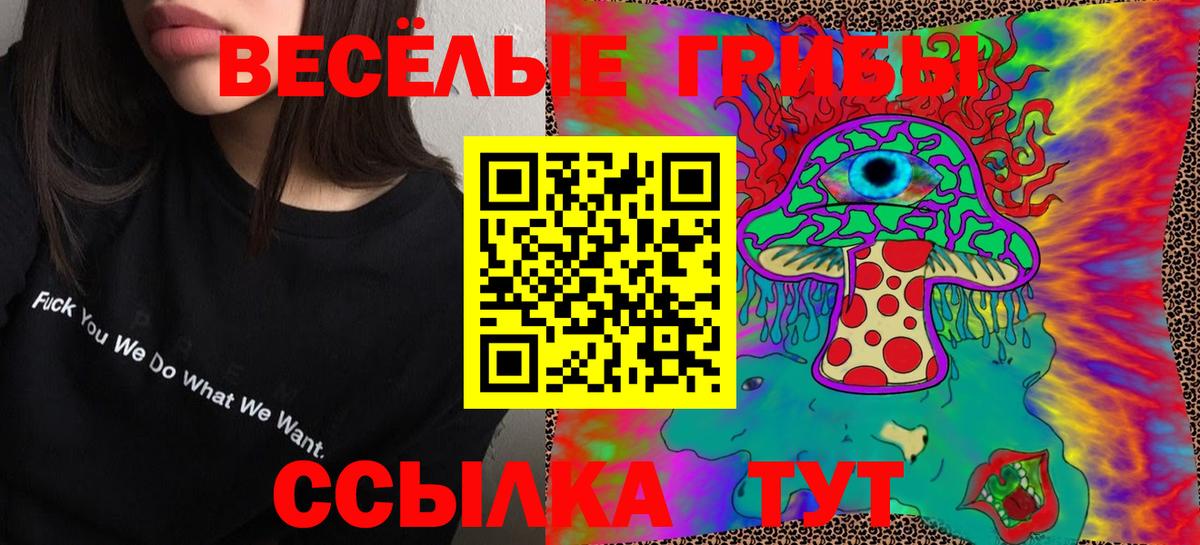 Псилоцибиновые грибы MAGIC MUSHROOMS  Вход с VPN  купить наркотик  Родники 